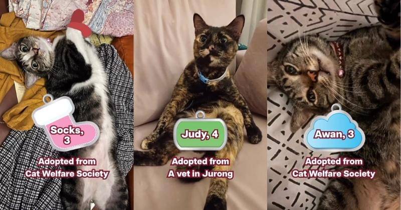 Instagram.com/tharman.sg